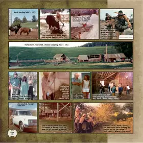 Album page 38 — First Angus calf & the hayshed fire