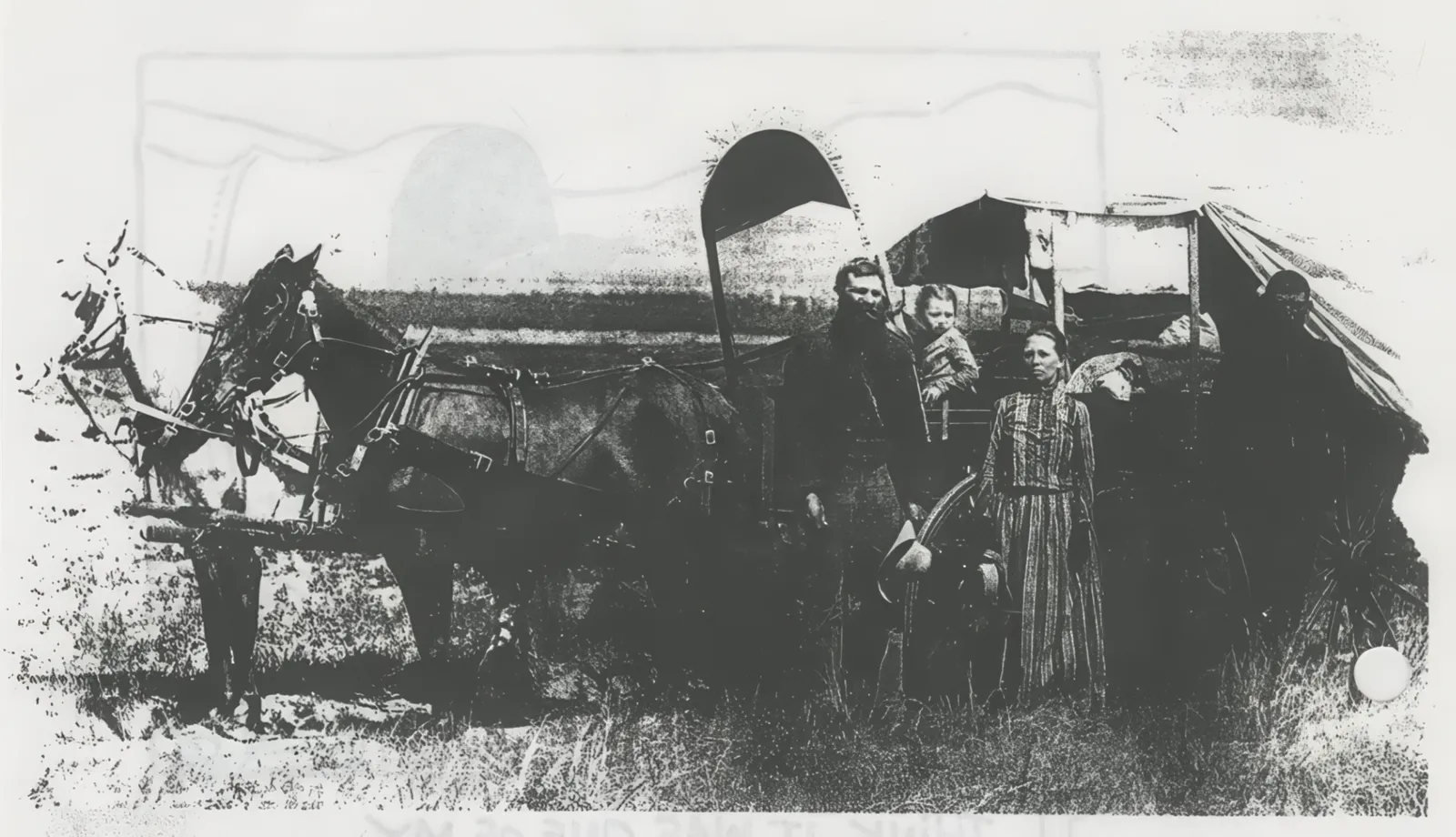 The Purdy family with horses and wagon on the Montana frontier