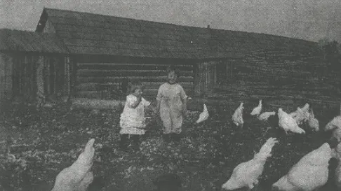 From the Purdy family archive, 1940s–1980s